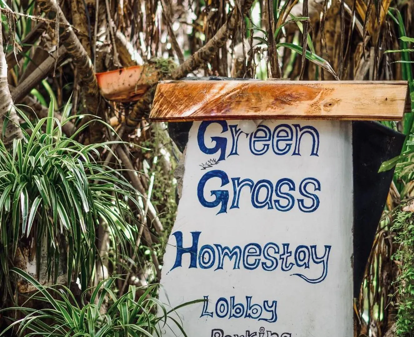 Green Grass Homestay Sigiriya