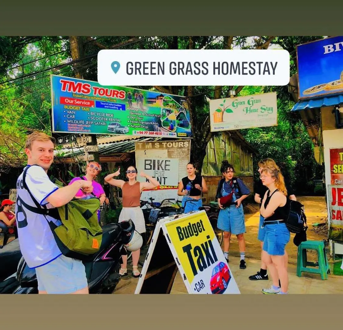 Green Grass Homestay Sigiriya Sri Lanka