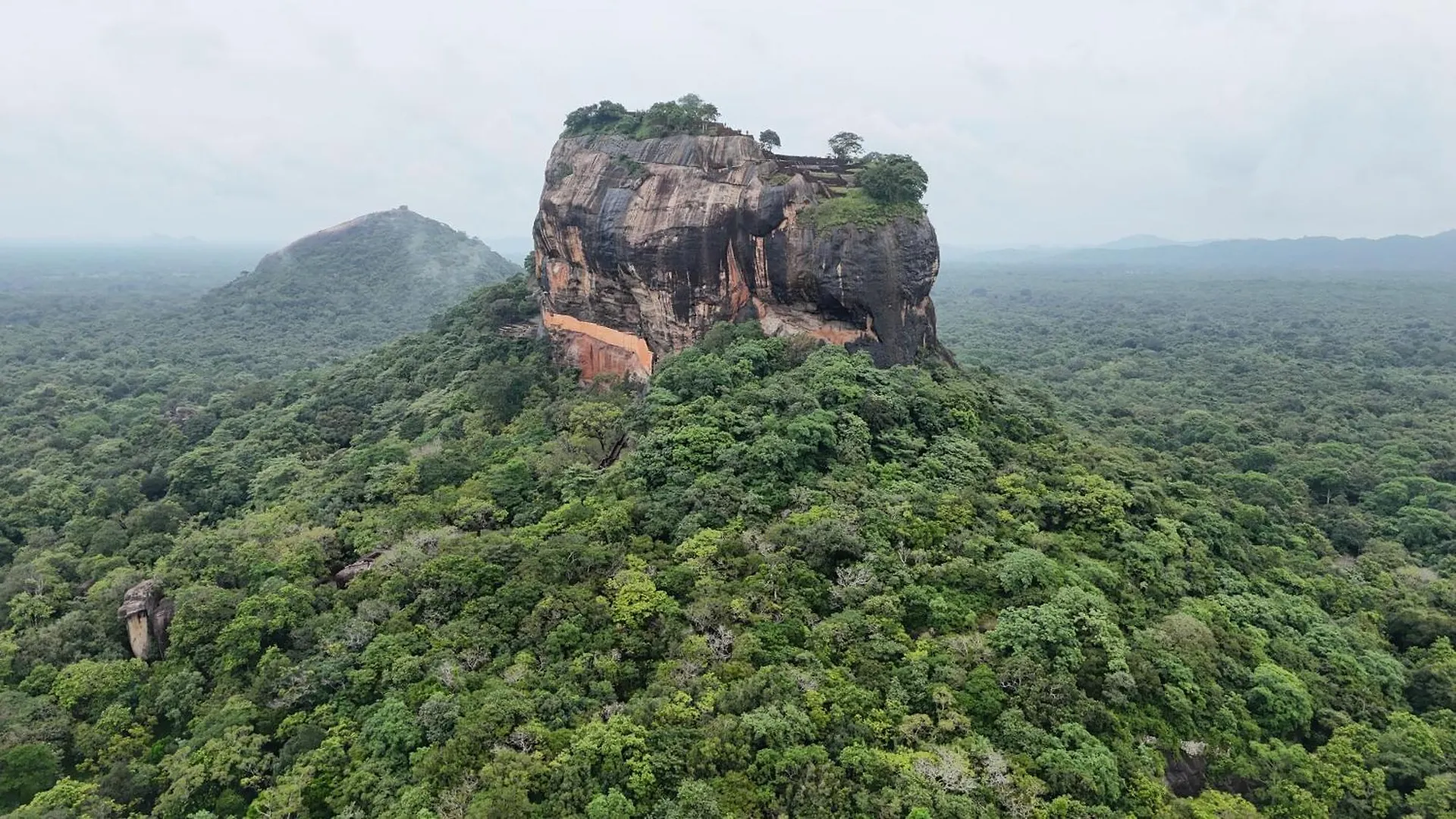 Green Grass Homestay Sigiriya