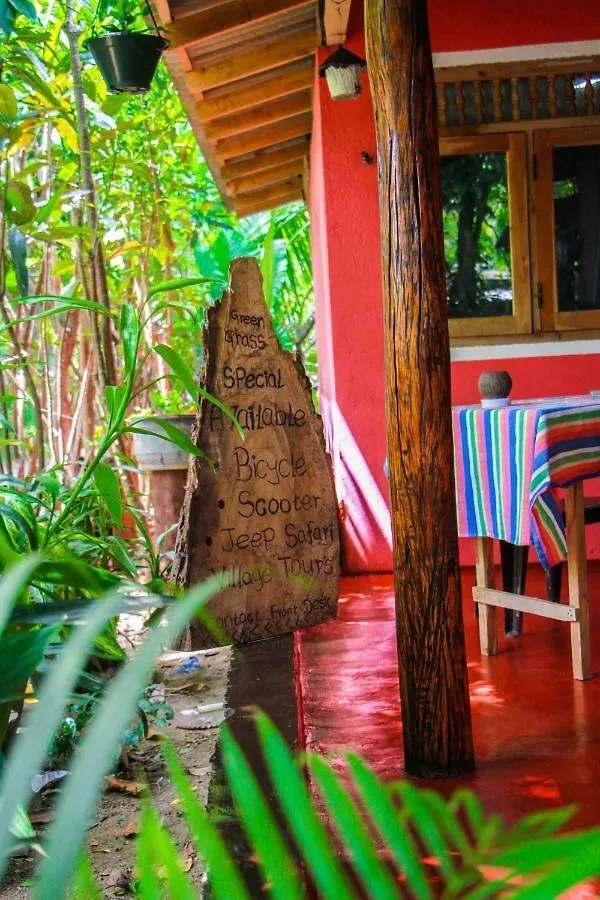 Green Grass Homestay Sigiriya