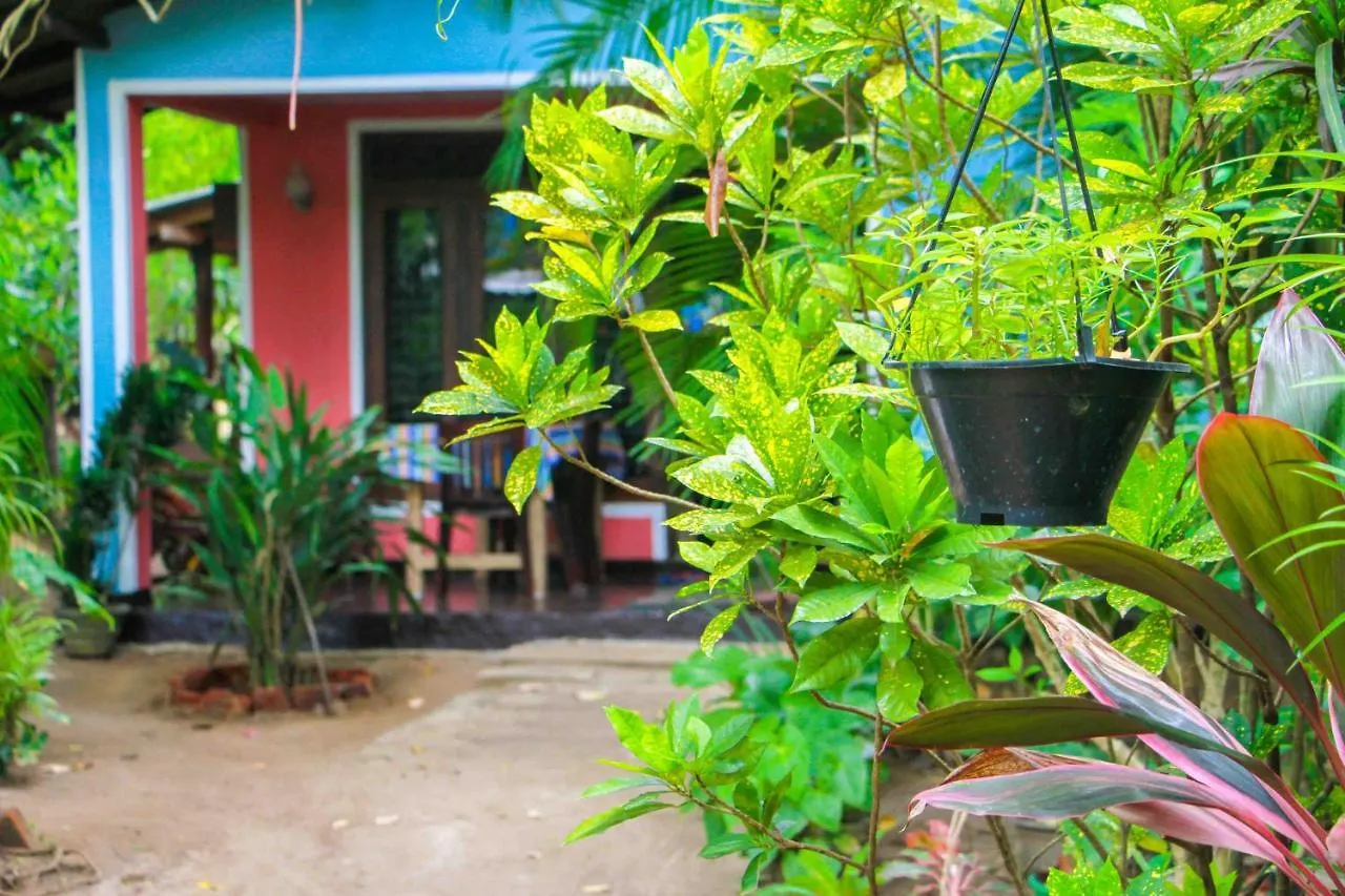 Green Grass Homestay Sigiriya